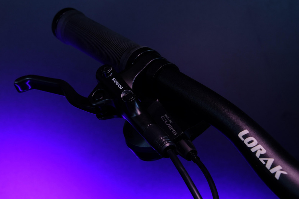 LORAK LX350 SE Матовый Синий 19р (на рост 171-182)