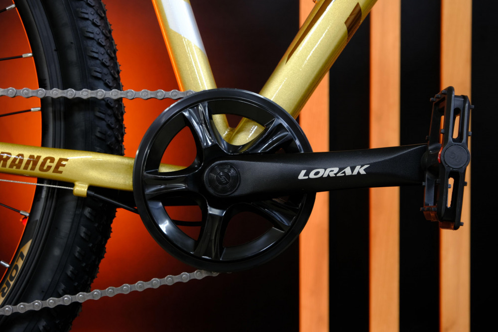 LORAK GLORY 9 Золотисто Серый рама 15 (на рост 141-160)