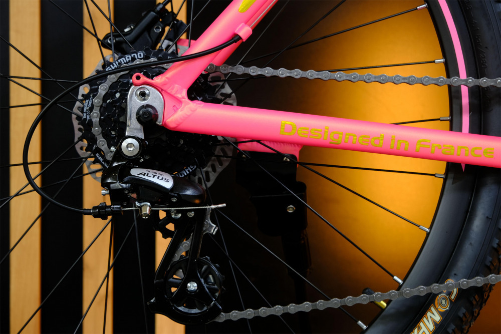 LORAK GLORY 250 HD Матовый Розовый/Золотой рама 19 (на рост 171-182)